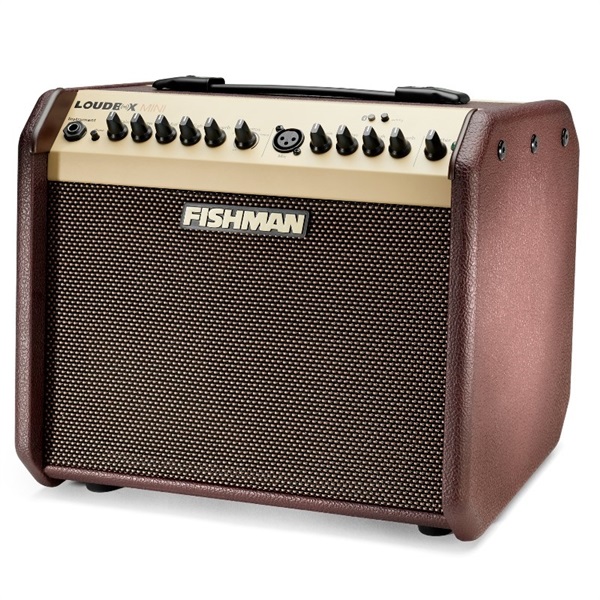 FISHMAN Loudbox Mini Bluetooth 画像1