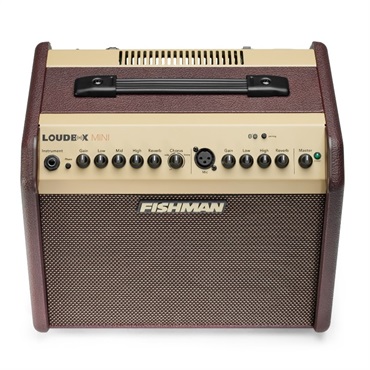 FISHMAN Loudbox Mini Bluetooth 画像2