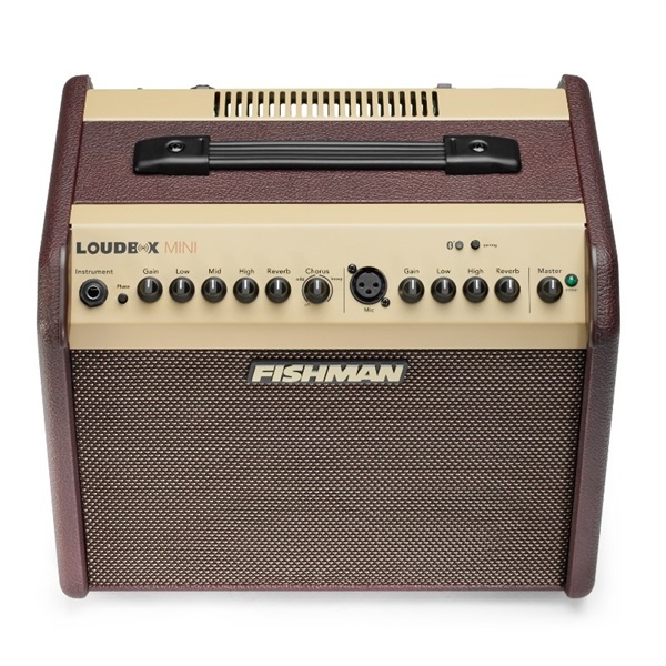 FISHMAN Loudbox Mini Bluetooth 画像2