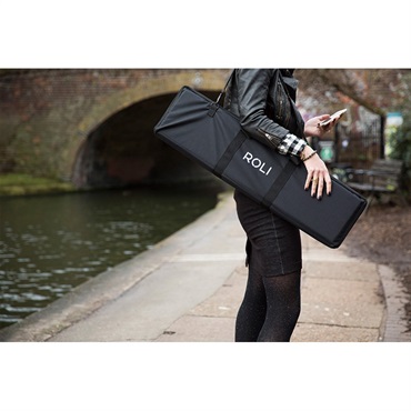 ROLI 【クリスマスセール】Seaboard RISE 49 Softcase【箱損アウトレット】 画像1