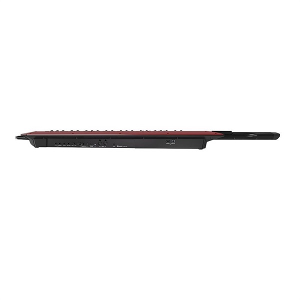 Roland AX-EDGE-B + CB-BAX【専用キャリングバッグセット】(限定特価) Keytar ローランド キーター ショルダーキーボード ショルキー ステージ ※沖縄･離島送料別途お見積もり 画像1