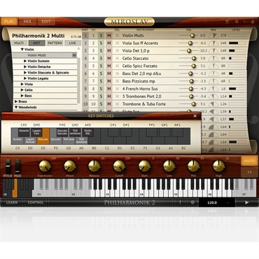 IK Multimedia Miroslav Philharmonik 2 CE (代引不可)(オンライン納品) 画像1