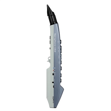 Roland Aerophone mini AE-01 画像3