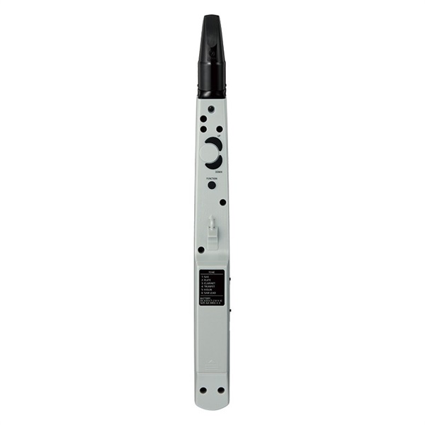 Roland Aerophone mini AE-01 |イケベ楽器店