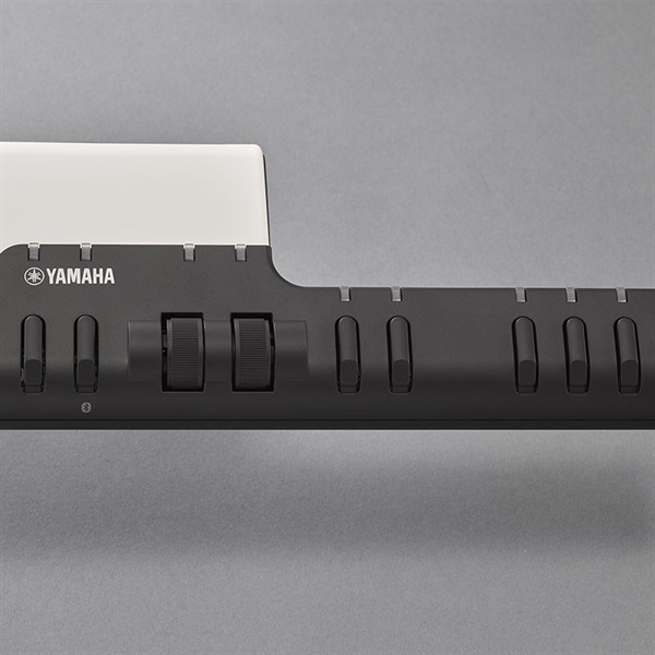 YAMAHA VOCALOID Keyboard VKB-100＋SC-KB350専用ソフトケースセット