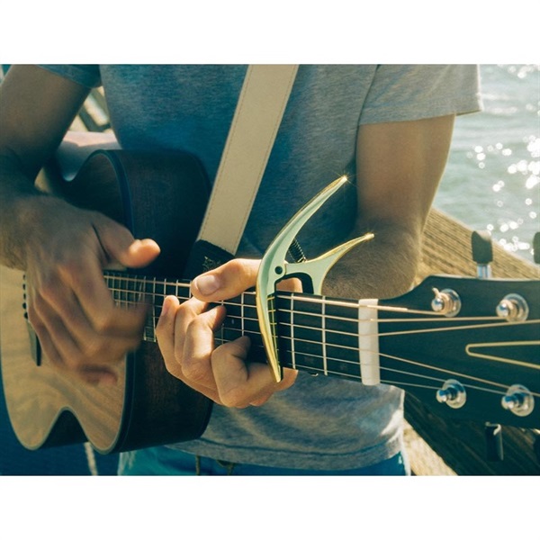 ERNIE BALL AXIS CAPO #9603 (GOLD) 画像1