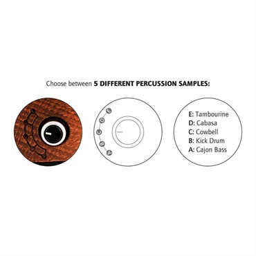ORTEGA HORSE KICK PRO [Digital Stomp Box]【お取り寄せ品