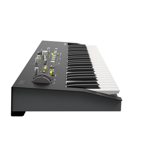 Waldorf STVC Strings Synthesizer & Vocoder【お取り寄せ商品】 画像3