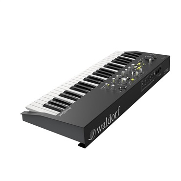Waldorf STVC Strings Synthesizer & Vocoder【お取り寄せ商品】 画像5