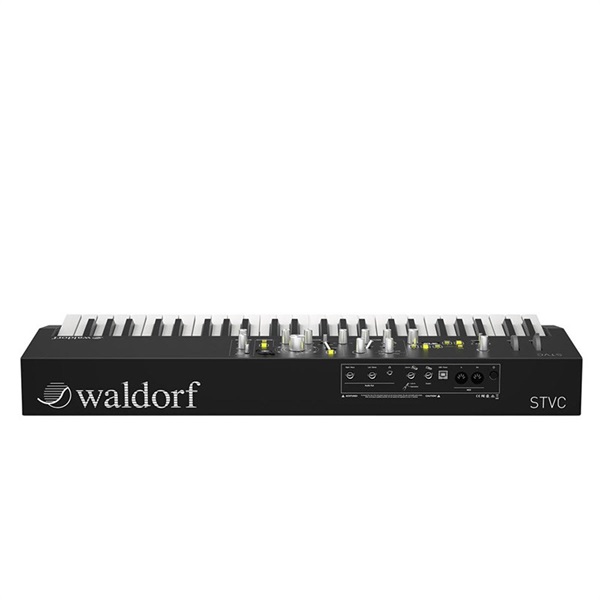 Waldorf STVC Strings Synthesizer & Vocoder【お取り寄せ商品】 画像6