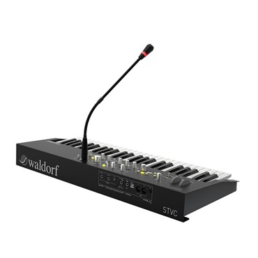 Waldorf STVC Strings Synthesizer & Vocoder【お取り寄せ商品】 画像9