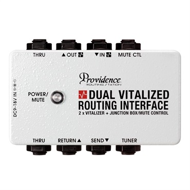 激安の [DUAL DVI-1M Providence VITALIZED ｜イケベ楽器店 ROUTING] ギター