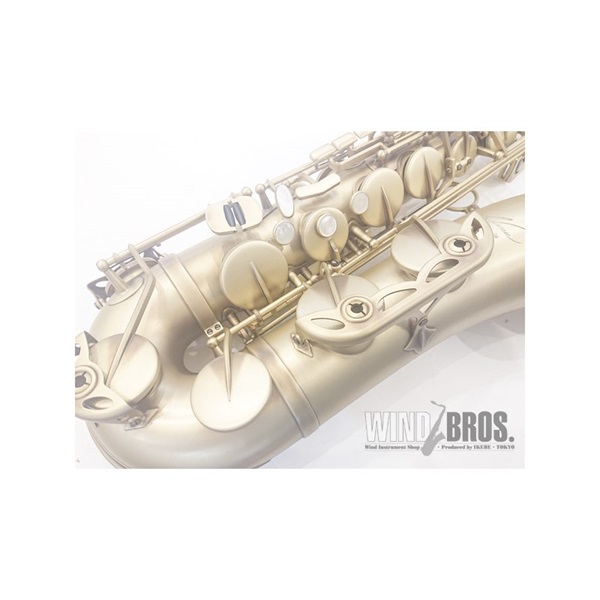 Selmer Paris 【生産完了】テナーサックス セルマー Reference ...