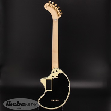 FERNANDES ／ Burny IKEBE ORIGINAL ZO-3 ZW ブルズアイ柄のカスタム 