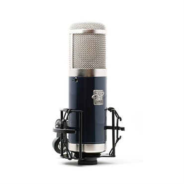 Roswell Pro Audio Delphos II 画像1