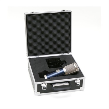 Roswell Pro Audio Delphos II 画像2