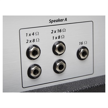 Diezel VH4[100W HEAD][EL-34] 画像10