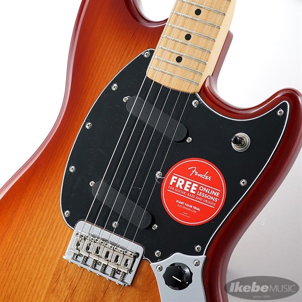 ターニングポイント ムスタングES （Turning Point Mustang and
