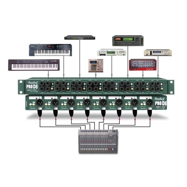 Radial ProD8【お取り寄せ商品】 画像3