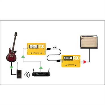 Radial SGI【お取り寄せ商品】 画像3