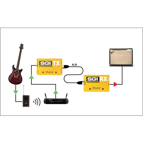 Radial SGI【お取り寄せ商品】 画像3