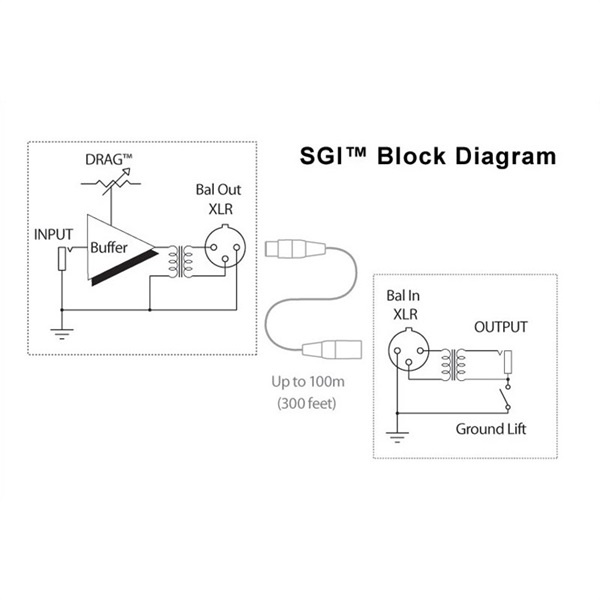 Radial SGI【お取り寄せ商品】 画像7