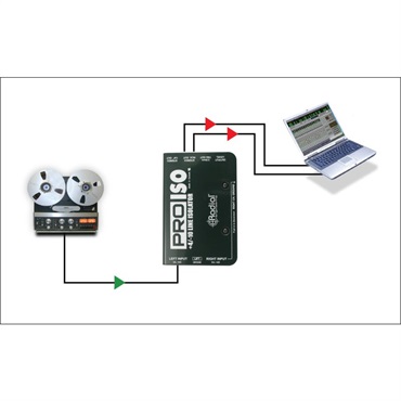 Radial Pro-Iso【お取り寄せ商品】 画像3