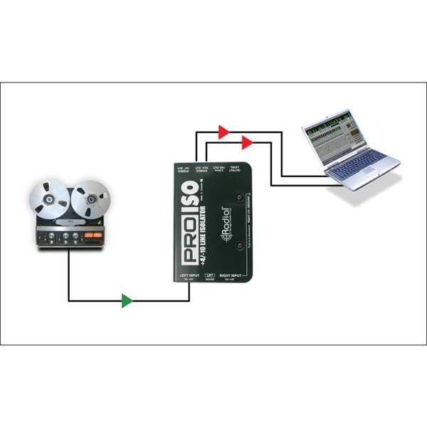 Radial Pro-Iso【お取り寄せ商品】 画像3