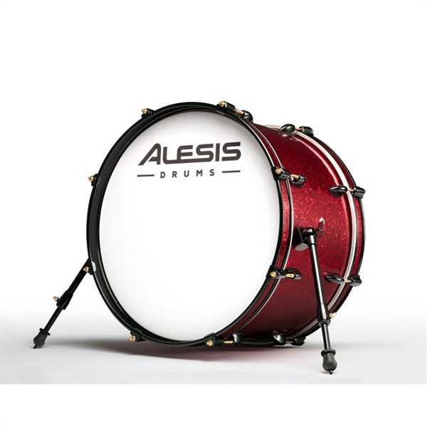 ALESIS STRIKE PRO SPECIAL EDITION 画像5