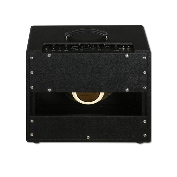 SYNERGY SYN30C - 30 WATTS COMBO（シナジー） ｜イケベ楽器店