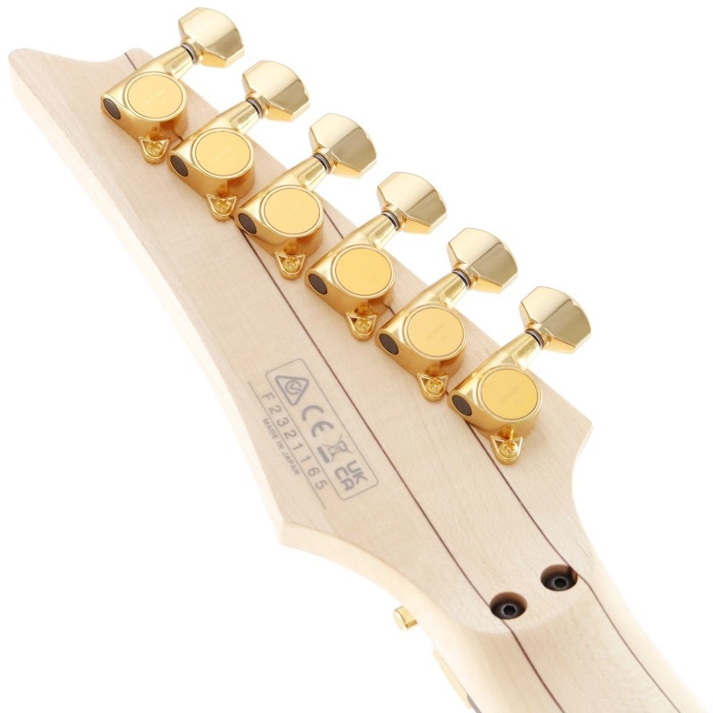 Ibanez PIA3761 [Paradise in Art Steve Vai new signature model] 画像8