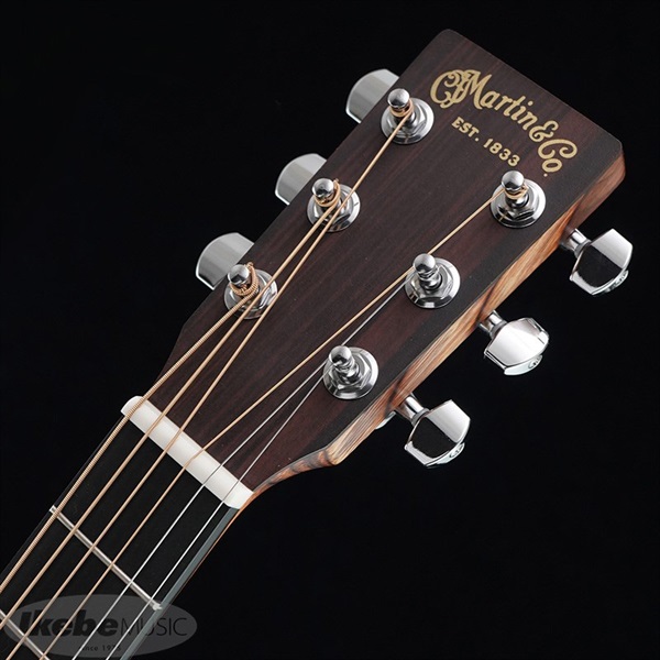 Martin エレアコ 20th Anniversary Model GPCX こがらな抱え