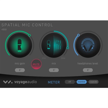 Voyage Audio Spatial Mic 画像5