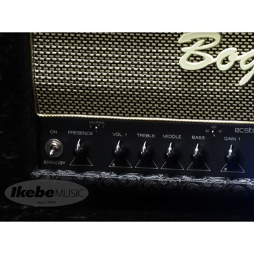 Bogner ECSTASY 3534 [Comet Tolex/Salt&Pepper Grill] 画像2