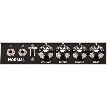 Fender USA Tone Master Twin Reverb [Blonde Edition]（アンプ コンボ フェンダー） 画像2