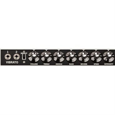Fender USA Tone Master Twin Reverb [Blonde Edition]（アンプ コンボ フェンダー） 画像3