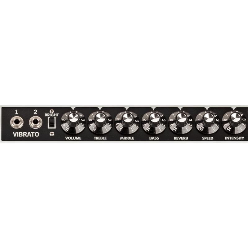 Fender USA Tone Master Twin Reverb [Blonde Edition]（アンプ コンボ フェンダー） 画像3