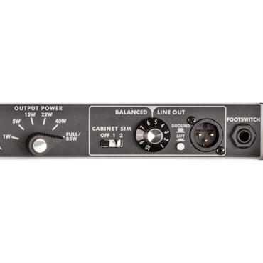 Fender USA Tone Master Twin Reverb [Blonde Edition]（アンプ コンボ フェンダー） 画像4