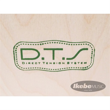 J.Leiva CAJON Jr 【Made in Spain の確かな品質を誇るカホンブランド】 画像4