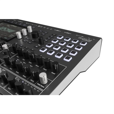 Waldorf Iridium 画像3