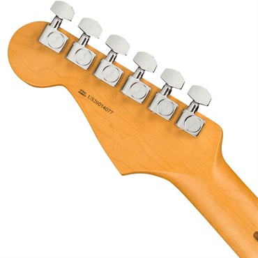Fender USA American Professional II Stratocaster (Roasted Pine/Rosewood) 【旧価格品】 画像5