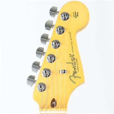 Fender USA American Professional II Stratocaster (Roasted Pine/Maple) 画像7