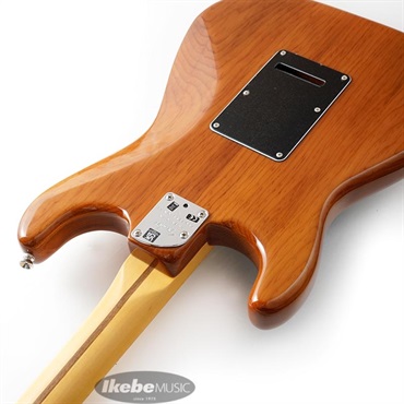 Fender USA American Professional II Stratocaster HSS (Roasted Pine /Maple)【旧価格品】 画像6