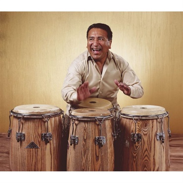 GON BOPS GON-AA1150 N [Alex Acuna Series Conga] 【お取り寄せ品】 画像1