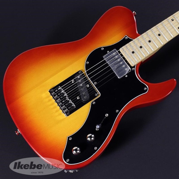 FUJIGEN Boundary ILIAD BIL2-M-HS (Cherry Sunburst) 画像2