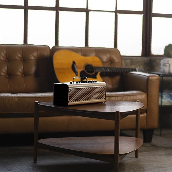 YAMAHA THR30 II A Wireless + Relay G10TII/ワイヤレスセット（ヤマハ） 画像5