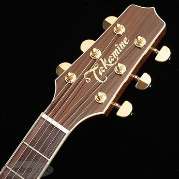 TAKAMINE DMP761C TB 【お取り寄せ商品】 タカミネ 画像5