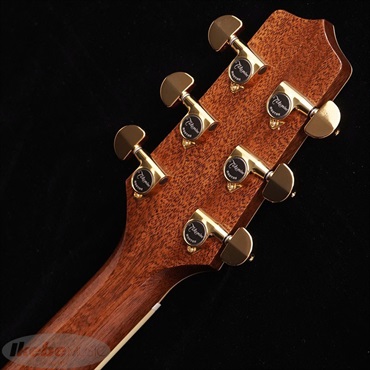 TAKAMINE DMP761C TB 【お取り寄せ商品】 タカミネ ｜イケベ楽器