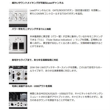 PEAVEY Invective MH（ピーヴィー） 画像4