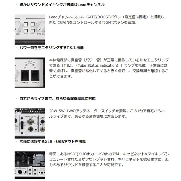 PEAVEY Invective MH（ピーヴィー） 画像4